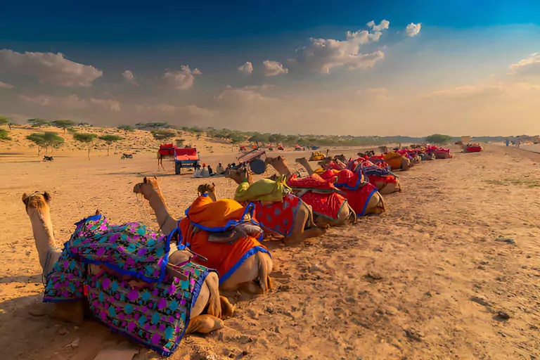 jaisalmer-pusjakr-tour