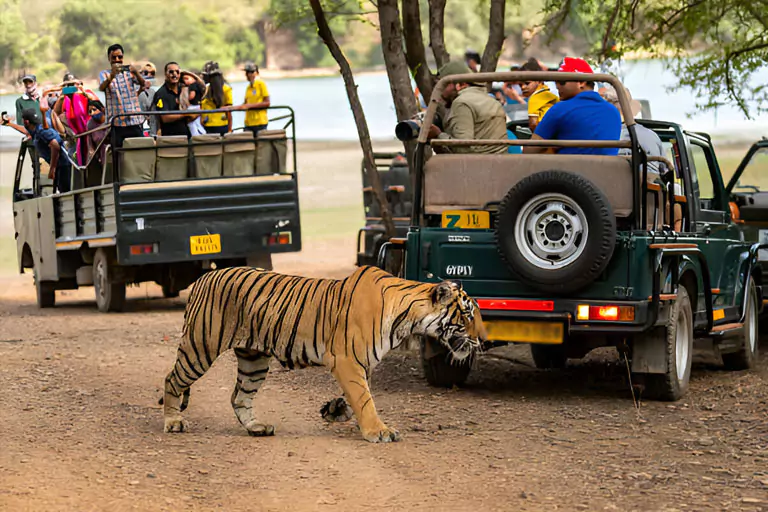 tour-di-8-giorni-del-fine-settimana-di-ranthambore